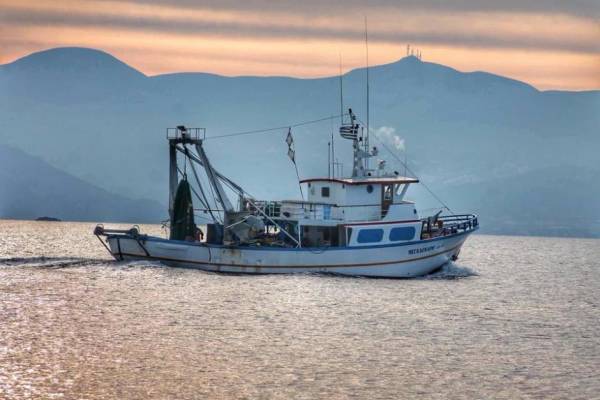 Τουρκικές νηοψίες σε ελληνικά αλιευτικά κατήγγειλε στην ευρωβουλή ο Νότης Μαριάς