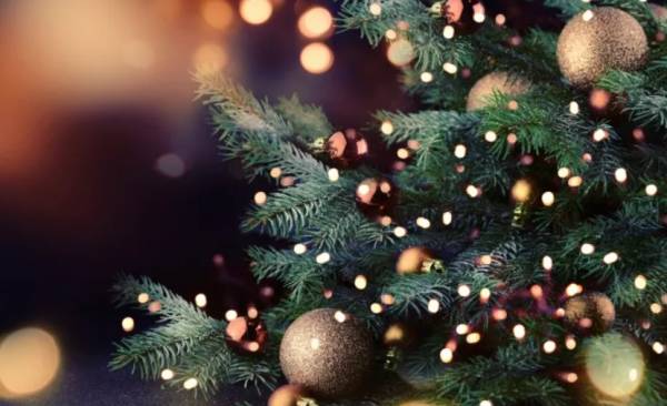 Αμβούργο: Νηπιαγωγείο δεν στολίζει χριστουγεννιάτικο δέντρο για λόγους «θρησκευτικής ελευθερίας»