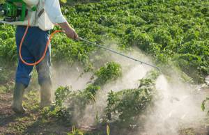 Στο ΦΠΑ 23% τα εντομοκτόνα για αγροτική χρήση