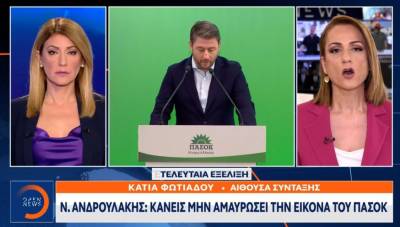 Ανδρουλάκης: Κανείς μην αμαυρώσει την εικόνα του ΠΑΣΟΚ (Βίντεο)