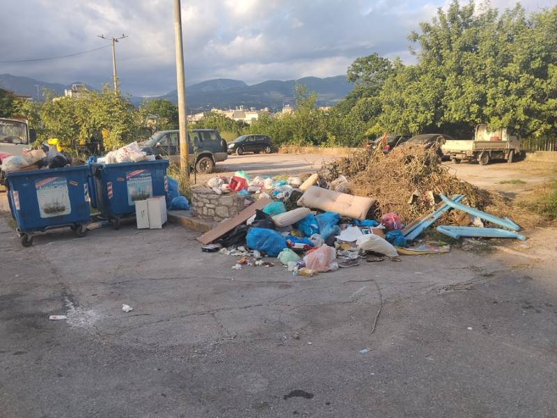Σωρός από σκουπίδια και κλαδέματα