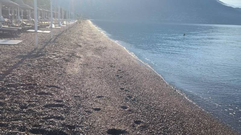 Έμποροι ψευδαισθήσεων παραμιλούν στα δίκτυα