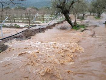 Πετράκος: &quot;Η Περιφέρεια αδιαφορεί για τις ζημιές στην Οιχαλία &quot;