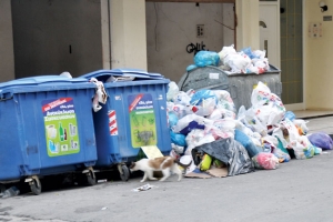 Ο Τατούλης θα... καθαρίσει την “κόπρο του Αυγείου”