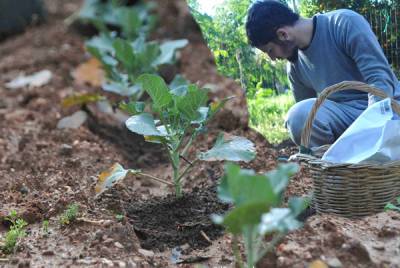 Η σπορά συνεχίζεται... στο Αγρόκτημα Φοίφα