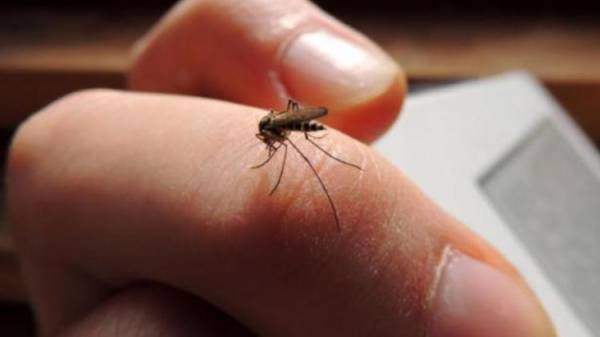 Δεν πήγαν 3 δήμοι της Μεσσηνίας στη σύσκεψη για τα κουνούπια 