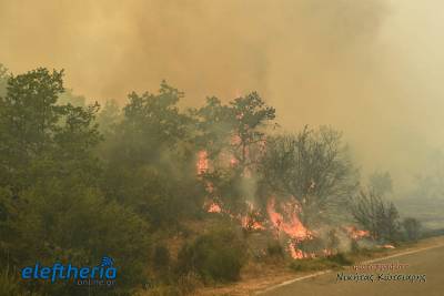 Μεσσηνία: Ολονύχτια μάχη με τις φλόγες γύρω από το Δεσύλλα και με αναζωπυρώσεις στον Μαγκλαβά