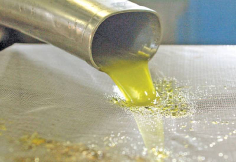 Ενώ γλοιοσπόριο και δάκος απειλούν την ποιότητά του: Στα 5 ευρώ ισορροπεί η τιμή του ελαιολάδου