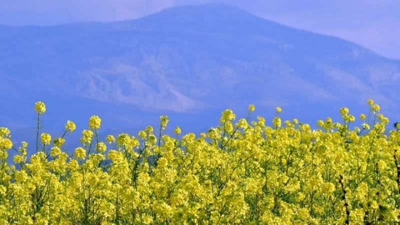 Έως και 13,5 βαθμούς πάνω από το κανονικό για την εποχή η θερμοκρασία την Κυριακή του Πάσχα