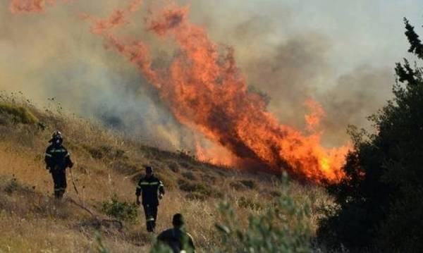 Ναύπλιο: Φωτιά σε δασική έκταση στο Μεσοβούνι της Αργολίδας