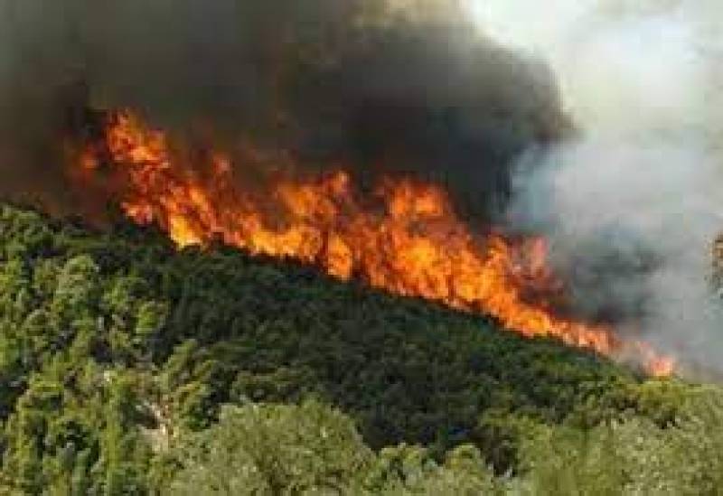 Συνολικά 39 δασικές πυρκαγιές το τελευταίο 24ωρο