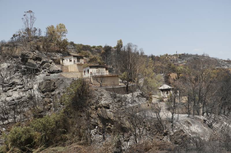 58.000 στρέμματα αγροτοδασικής έκτασης κάηκαν στη Μεσσηνία