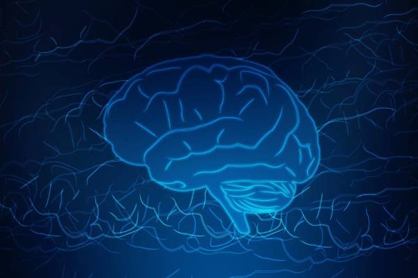 Επιστήμονες ανακαλύπτουν πιθανό τρόπο επιδιόρθωσης της μνήμης στους ασθενείς με Αλτσχάιμερ