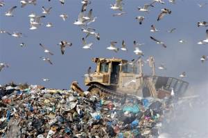 Η “Πελοπόννησος Οικολογική” για τα σκουπίδια στην Ερμιονίδα