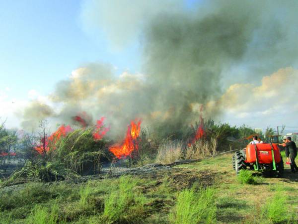 Η έγκαιρη επέμβαση περιόρισε τις φλόγες στο Μελιγαλά