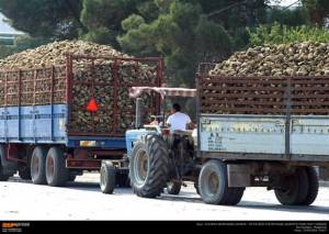 Πειραιώς: Δάνειο €8,5 εκατ. στην Ελληνική Βιομηχανία Ζάχαρης