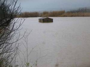 Προβλήματα από πλημμύρες στην Ανω Μεσσηνία (φωτογραφίες)