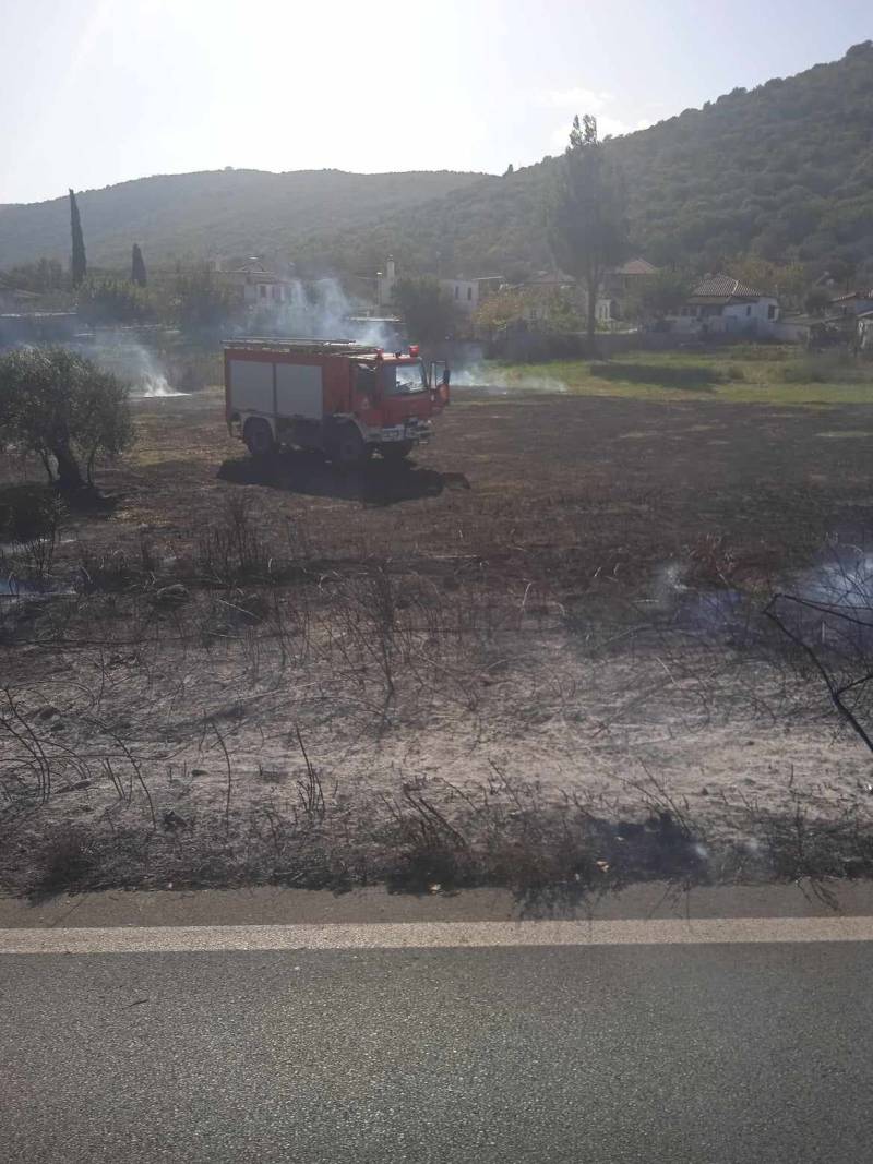 Μεσσηνία: Κινητοποίηση της Πυροσβεστικής για πυρκαγιές σε Βασιλικό και Καλλιρρόη (φωτογραφίες)
