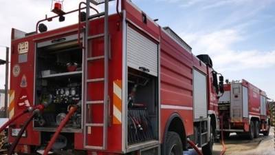 Πυροσβεστική: 44 πυρκαγιές την Κυριακή - Δύο συλλήψεις