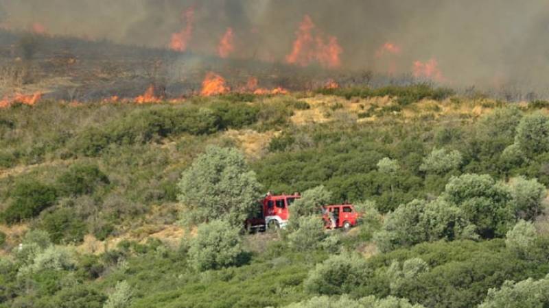 Υπό μερικό έλεγχο πυρκαγιά σε δασική έκταση στον Άγιο Στέφανο Αττικής