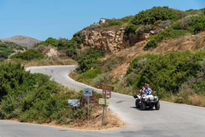 Φόρος αίματος στα νησιά από τις «γουρούνες»