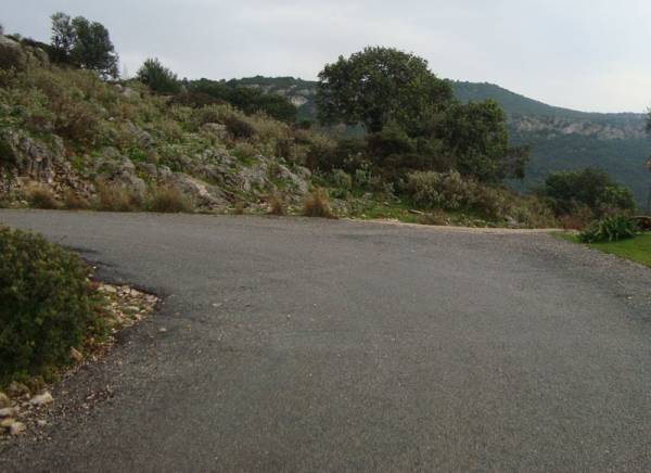 Αναθέσεις για αποκατάσταση αγροτικών δρόμων στο Δήμο Πύλου - Νέστορος 