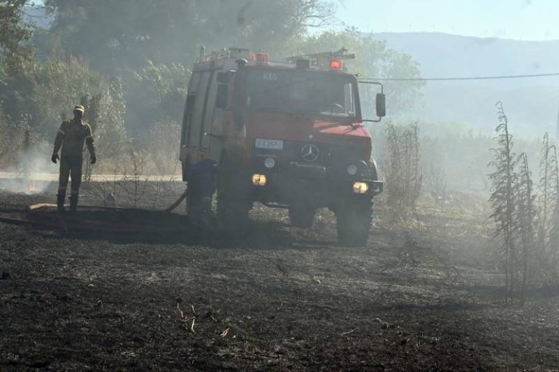 Φωτιά στο Ακραίφνιο Βοιωτίας: Έκλεισε η εθνική οδός στο ύψος της Θήβας (βίντεο)