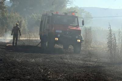 Φωτιά στο Ακραίφνιο Βοιωτίας: Έκλεισε η εθνική οδός στο ύψος της Θήβας (βίντεο)