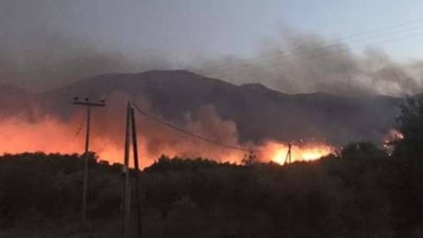 Μαίνεται η πυρκαγιά σε δασικές εκτάσεις στη νότια Λέσβο