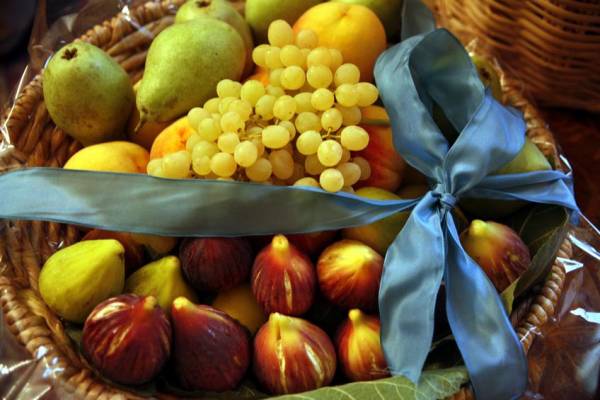 ΗΠΑ: Τα φρούτα, ο καθοριστικός παράγοντας για την ανάπτυξη του εγκεφάλου των πρωτευόντων