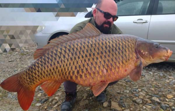Κοζάνη: Ψαράς έβγαλε γριβάδι 24,3 κιλών στη λίμνη Πολυφύτου