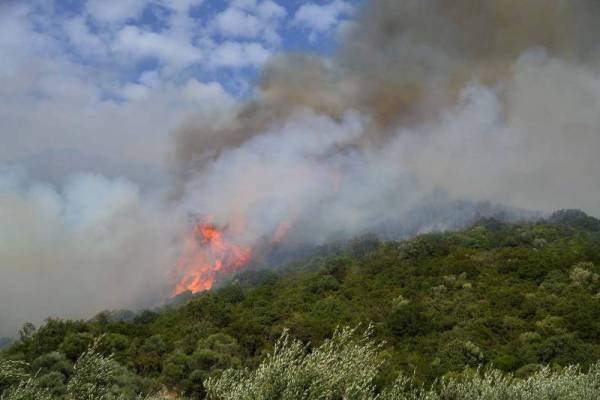 Πολύ υψηλός κίνδυνος πυρκαγιάς αύριο σε 6 περιφέρειες της χώρας