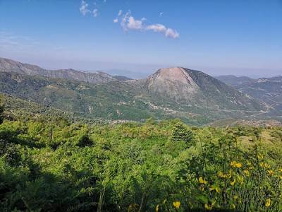 Απόσυρση του περιβαλλοντικού νομοσχεδίου ζητεί ο Πετράκος