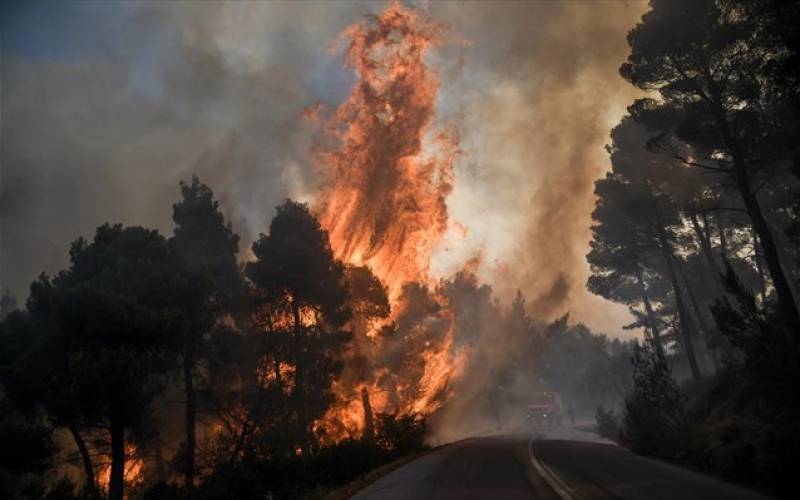 Πενήντα τρεις δασικές πυρκαγιές εκδηλώθηκαν το τελευταίο 24ωρο σε όλη την Ελλάδα