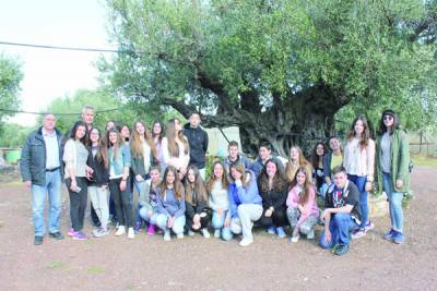 Μαθητές του Λυκείου Κυπαρισσίας καταγράφουν υπεραιωνόβια ελαιόδεντρα