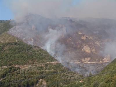 Ποιος προωθεί &quot;κυνικά κτήνη&quot;