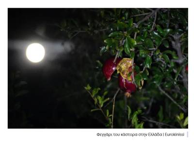 Το «Φεγγάρι του Κάστορα» στον ουρανό της Ελλάδας