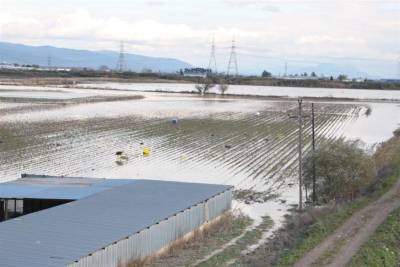 Τεράστιες οι καταστροφές από τις πλημμύρες στη Φθιώτιδα - Ανυπολόγιστες ζημιές σε σπίτια και επιχειρήσεις