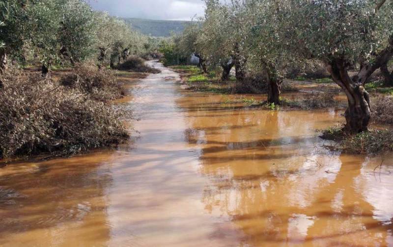 Αγροτικός Σύλλογος Φιλιατρών για τα πλημμυρικά φαινόμενα: “Κινδύνευσαν ακόμη και ανθρώπινες ζωές”