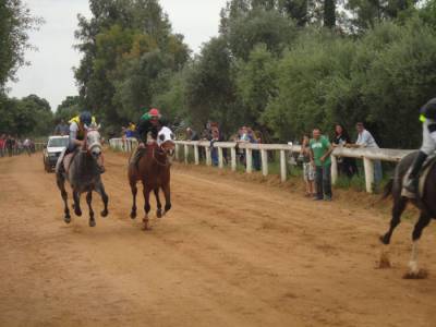 Ιπποδρομίες στο Πλατύ