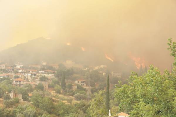 Περιφέρεια Πελοποννήσου: 12,2 εκ. ευρώ για κατεστραμμένες υποδομές στα πυρόπληκτα Μεσσηνίας (βίντεο)
