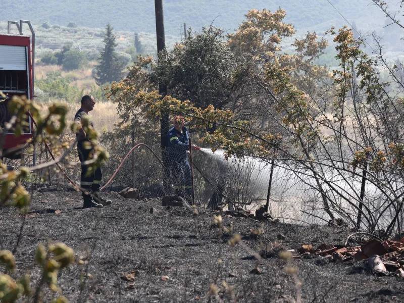 Υψηλός κίνδυνος πυρκαγιάς σήμερα στη Μεσσηνία