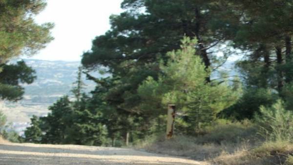 Λιγότερες φέτος κατά 14% οι καμένες δασικές εκτάσεις στη Δυτική Ελλάδα