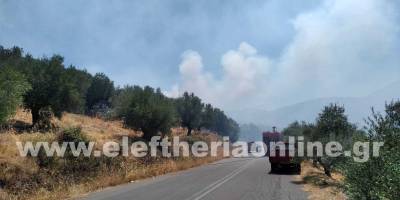 Μεσσηνία: Σε εξέλιξη πυρκαγιά σε Αετό και Γλυκορρίζι (βίντεο-φωτογραφίες)