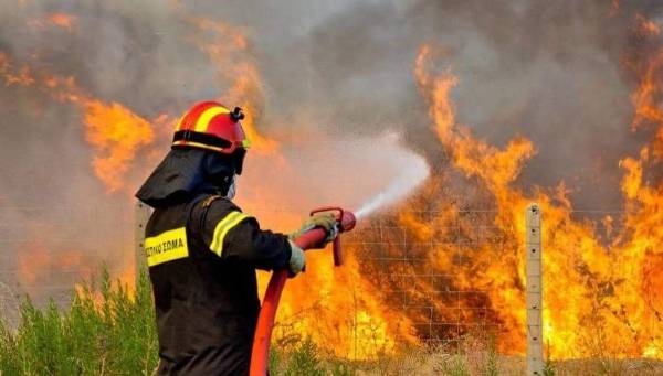 Χαλκιδική: Υπό έλεγχο η πυρκαγιά στο Βατοπέδι