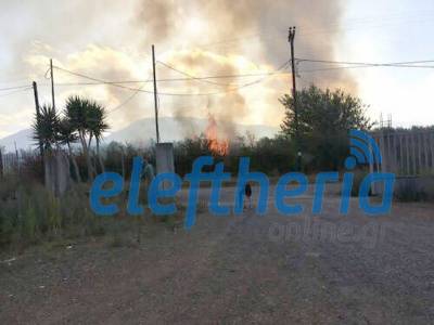 Δύο φωτιές σε Μελιγαλά και Κακαλέτρι στη Μεσσηνία (βίντεο)