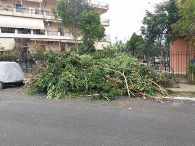 Κλαδέματα στο πεζοδρόμιο
