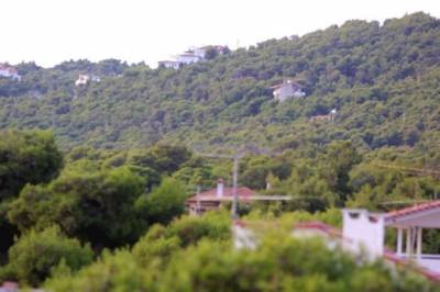 Παράταση για το Δασολόγιο ζητεί η Νομαρχιακή Μεσσηνίας του ΤΕΕ