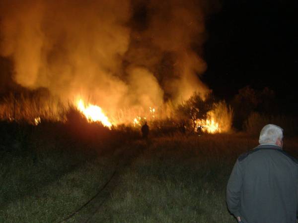 Φωτιά σε αγροτική έκταση στο Μοσχοχώρι Μεσσηνίας