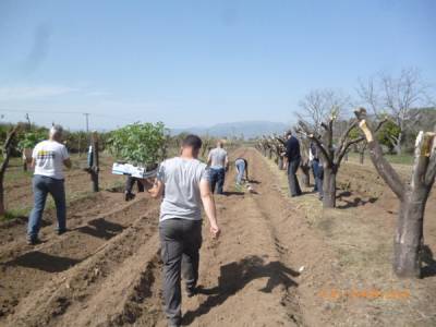 Σπορόφυτα λαχανικά στις φυλακές της Τίρυνθας από μέλη του ΚΕΘΕΑ “Κύτταρο” στην Καλαμάτα